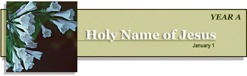 Title: Classic Banner, Year A, Holy Name of Jesus. The Classic Banners were created for a revision of the Revised Common Lectionary website in 1997-1998.