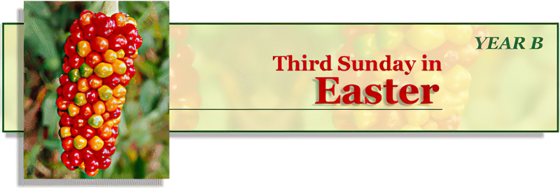 Title: Classic Banner, Year B, Third Sunday of Easter; Date: 1997; Artist: Vanderbilt Divinity Library staff; Scripture: Luke 24:36b-48.