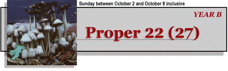 Title: Classic Banner, Year B, Proper 22; Scripture: Mark 10:2-16.