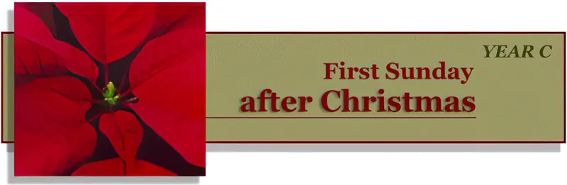 Title: Classic Banner, Year C, First Sunday after Christmas Day; Date: 1997; Artist: Vanderbilt Divinity Library staff; Scripture: John 1:1-18